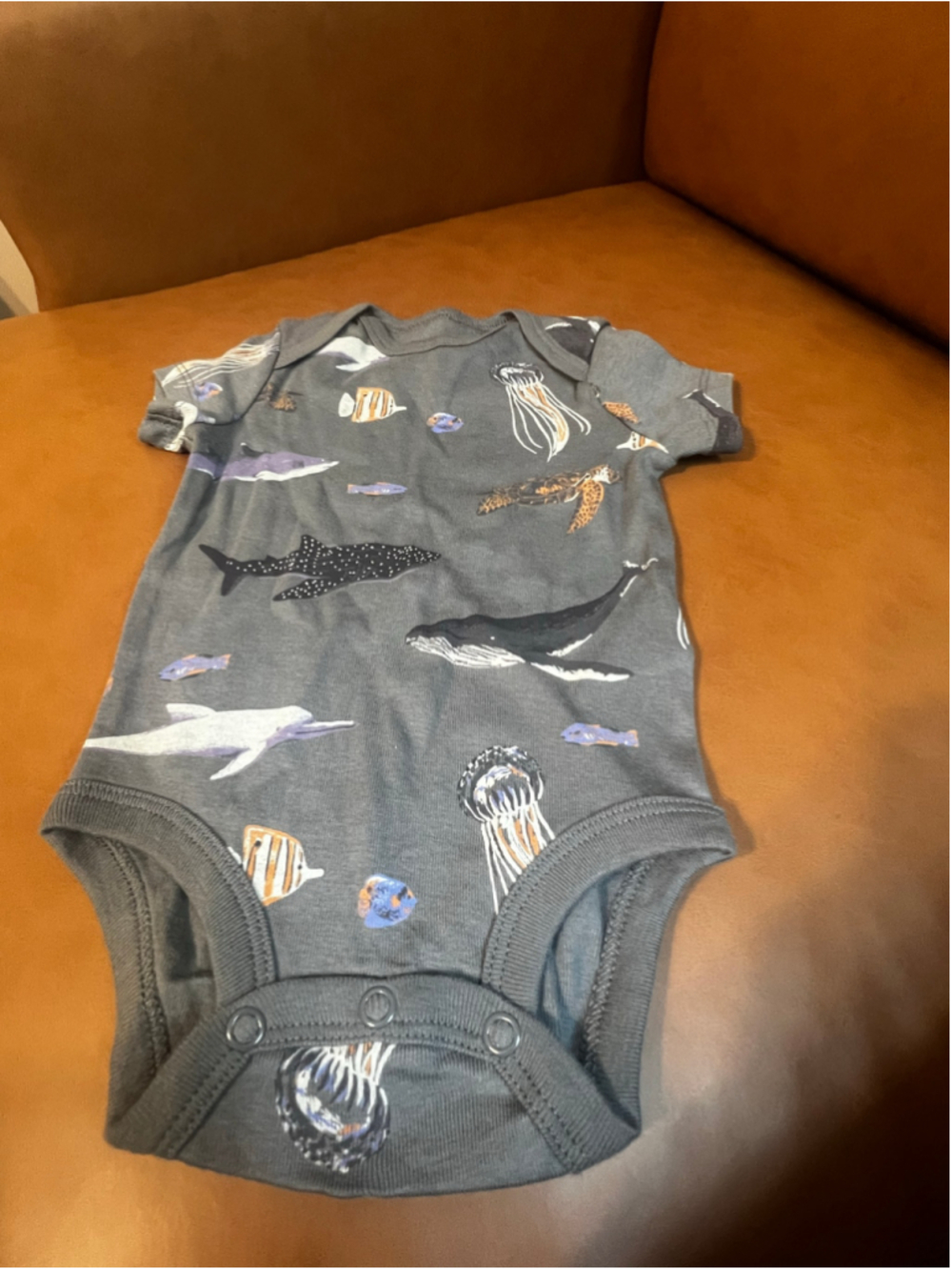 Baby Little Planet Organic Bodysuit 3 Months Grey Sea Life Print